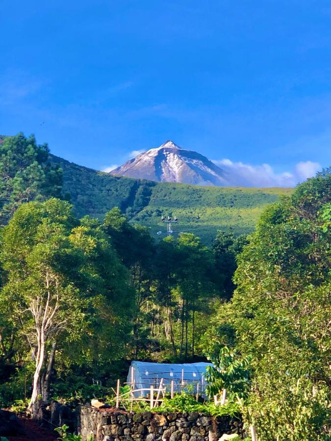 Quinta Pereirinha Farm - Bed & Breakfast - Pico Island, Azores - Private 3 Bedroom Home On A Working Farm W Ocean Views Са́н-Ро́ке-ду-Пі́ку Екстер'єр фото